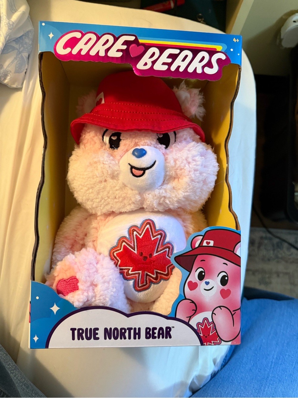 Care Bears True North Bear Plush - Pink with Red Hat